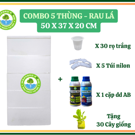 Kit 5Thùng - Có  AB - rau ăn lá