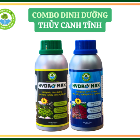 AB - thủy canh tĩnh