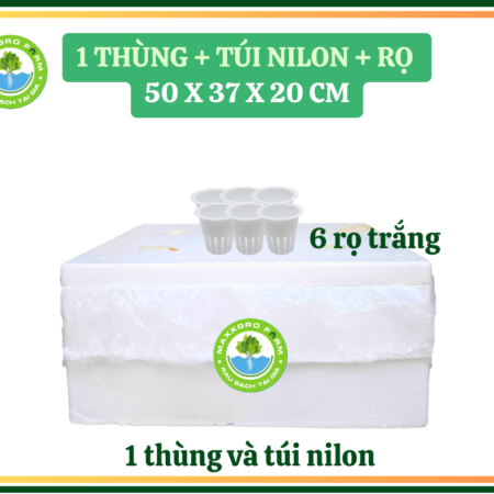 Kit 1 Thùng - Không AB