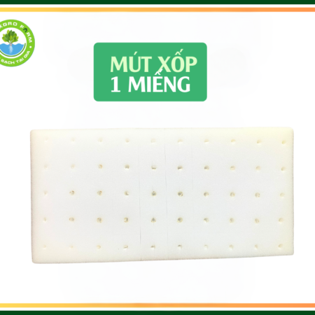 Mút xốp- 1 miếng